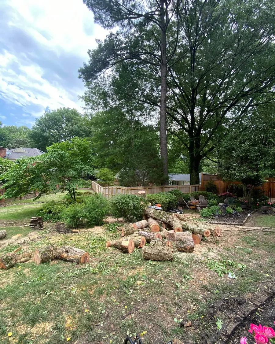 Log rounds and brush on a Memphis lot being cleared