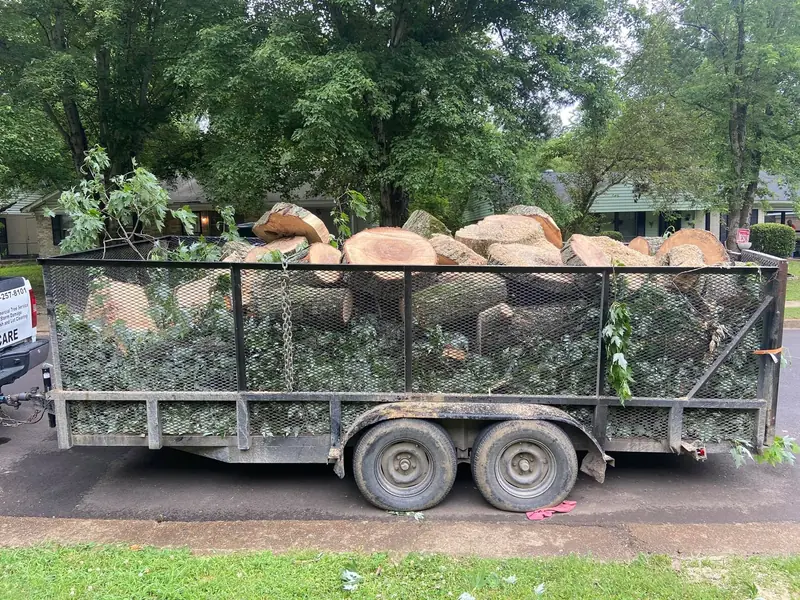 Trailer loaded with large log rounds