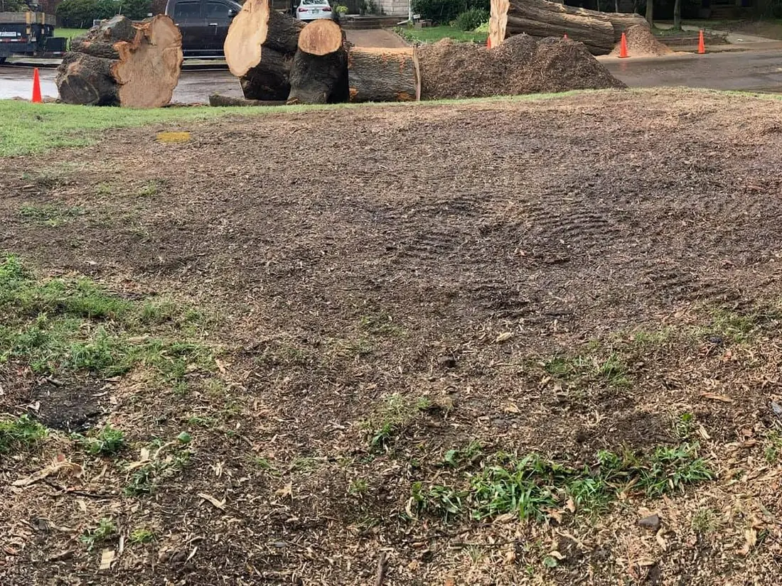 After: stump ground out and the yard leveled
