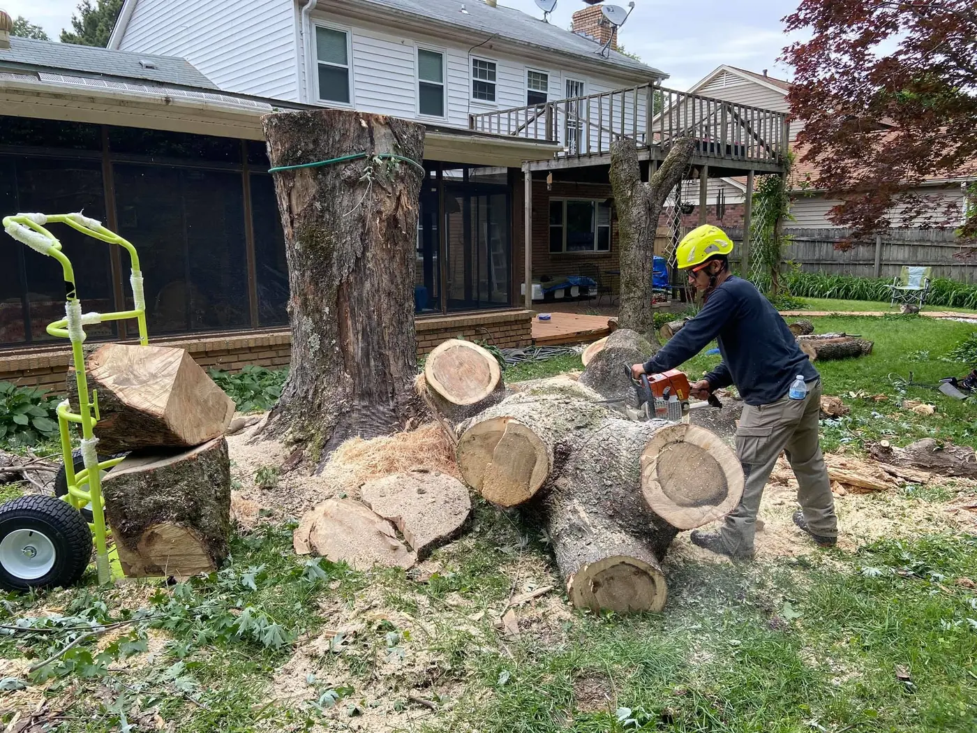 18 Primos tree crew working on a job in the Cordova area