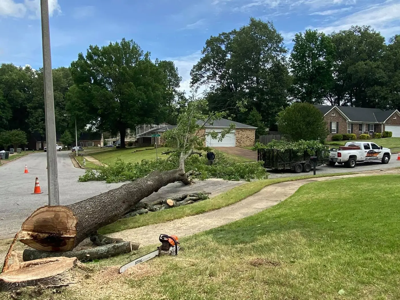 18 Primos tree crew working on a job in the Millington area
